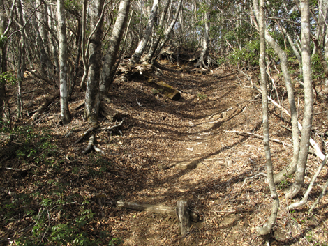 20190108hike (266)